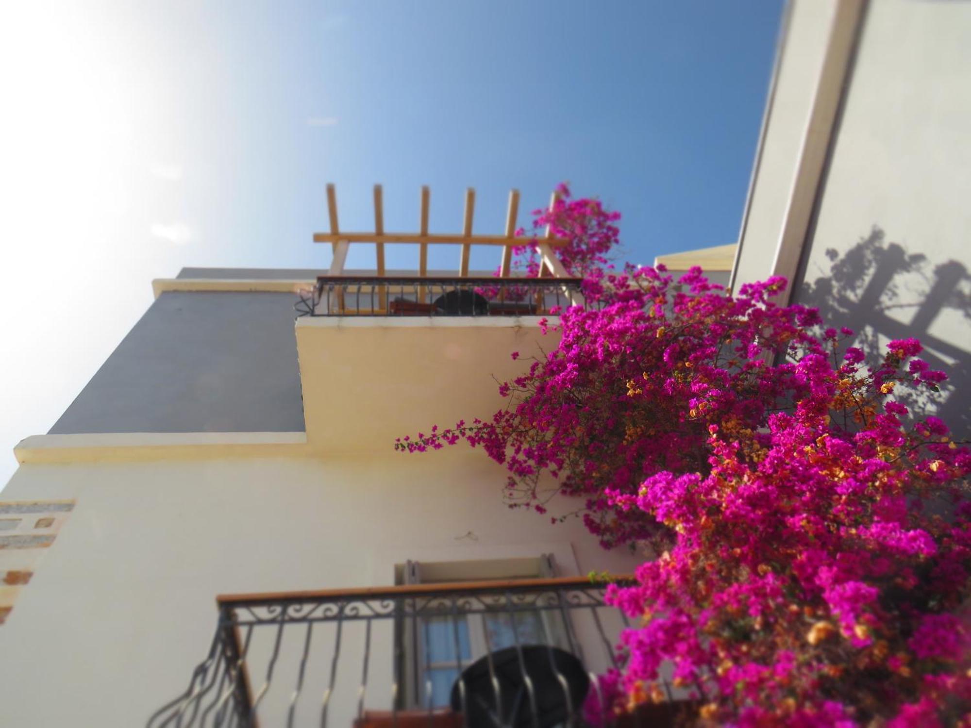 Axilleion Guest House Ermoúpoli Extérieur photo