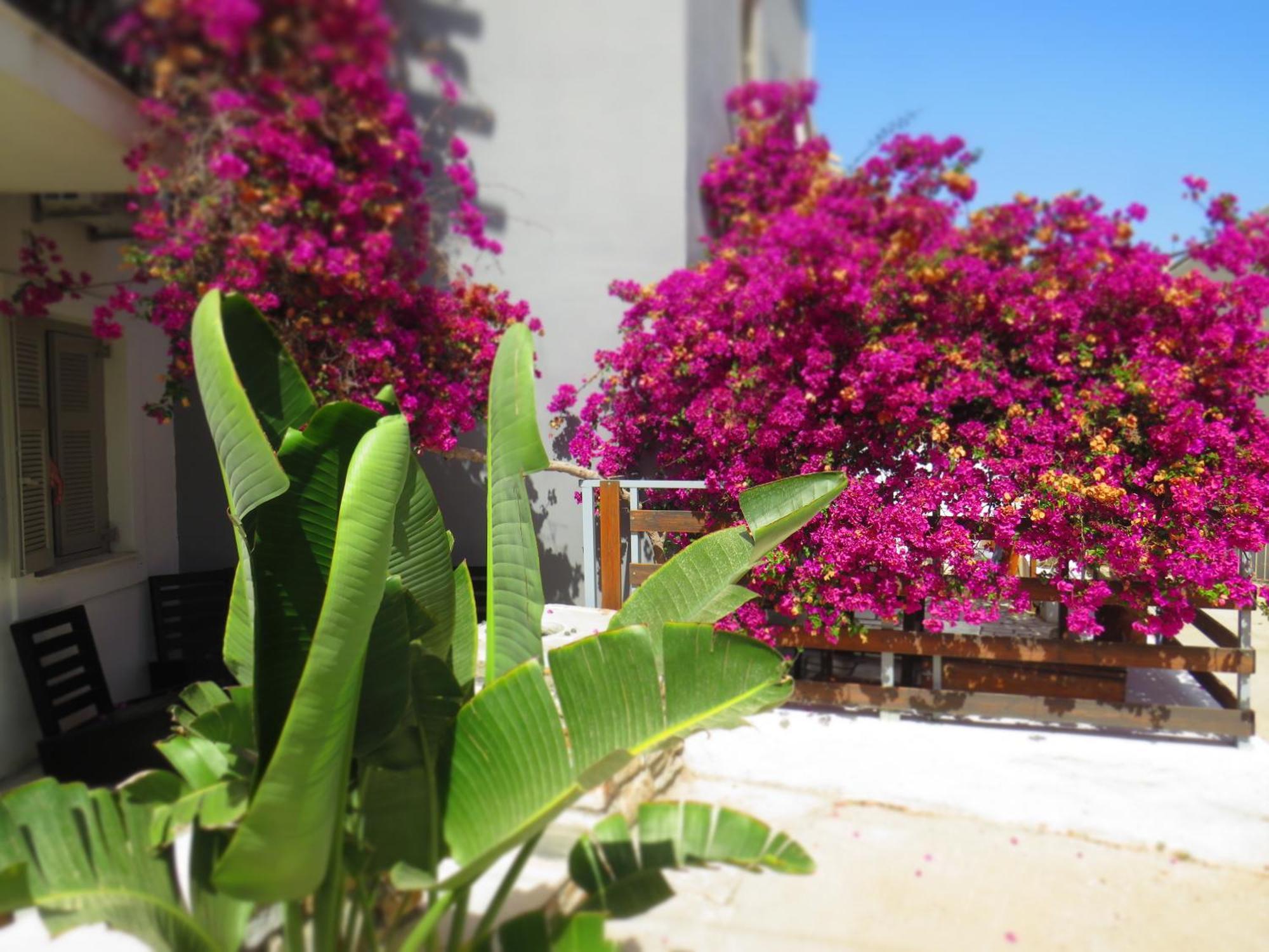 Axilleion Guest House Ermoúpoli Extérieur photo